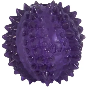JW Puppy Bristl-ee Cactus Ball – Bijt- en snackbal voor puppy’s en kleine honden
