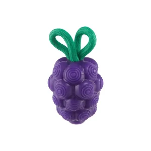 Outward Hound Dental Grapes – Tandverzorgend Hondenspeeltje